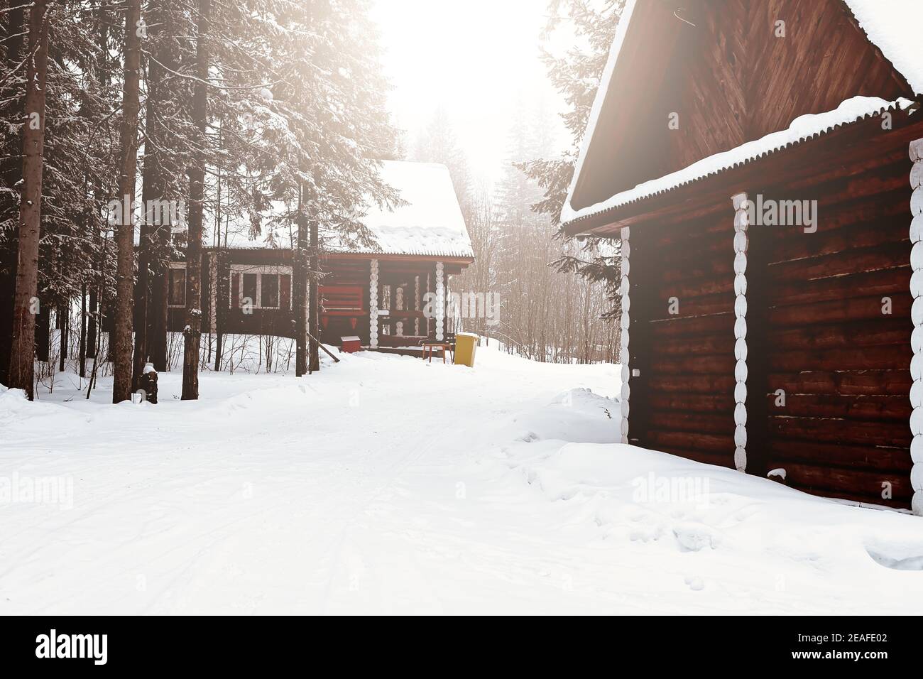 Holzhaus zwischen Bäumen im Winterwald. Blockhütte. Gehäuse aus natürlichen Baustoffen. Umweltfreundliche Konstruktion. Stockfoto