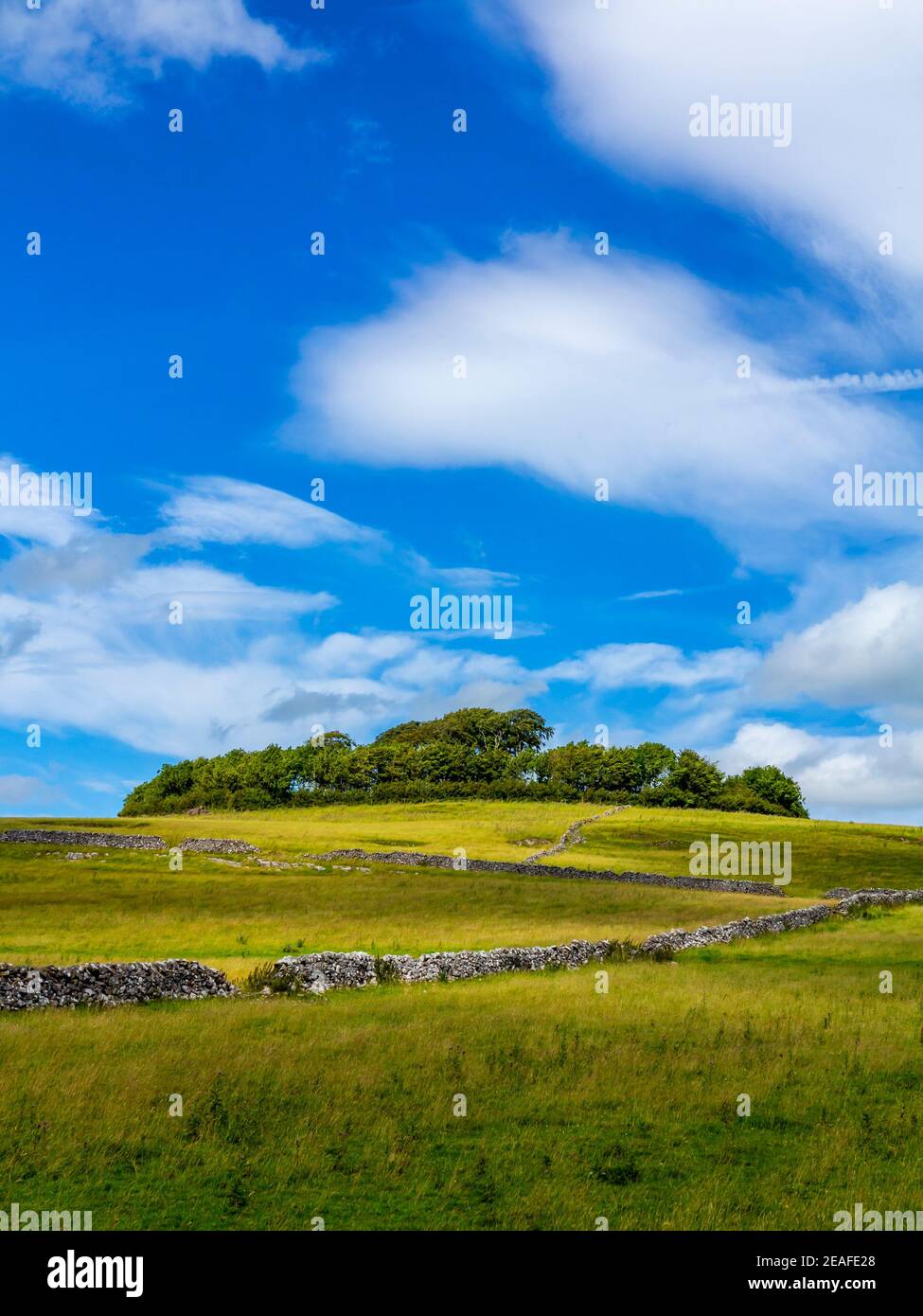 Bäume in Minninglow ein neolithischer prähistorischer Grabplatz in der Nähe von Parwich Im Peak District National Park Derbyshire Dales England Stockfoto