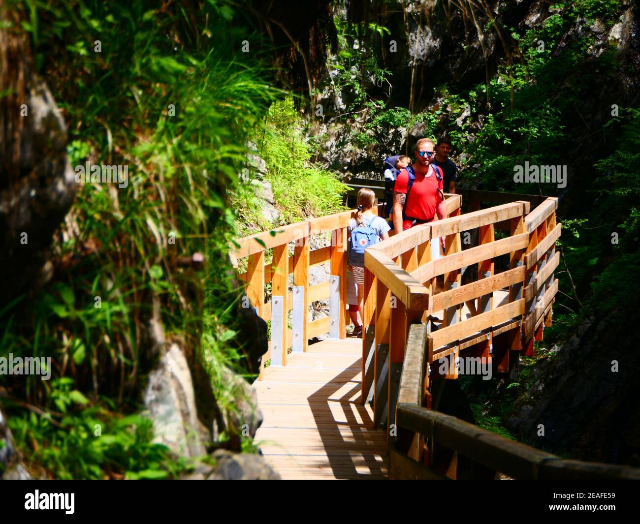 Wimmbachklamm, Wimmbachschlucht, Nationalpark Berchtesgaden, Bayern Bayern, Deutschland Stockfoto