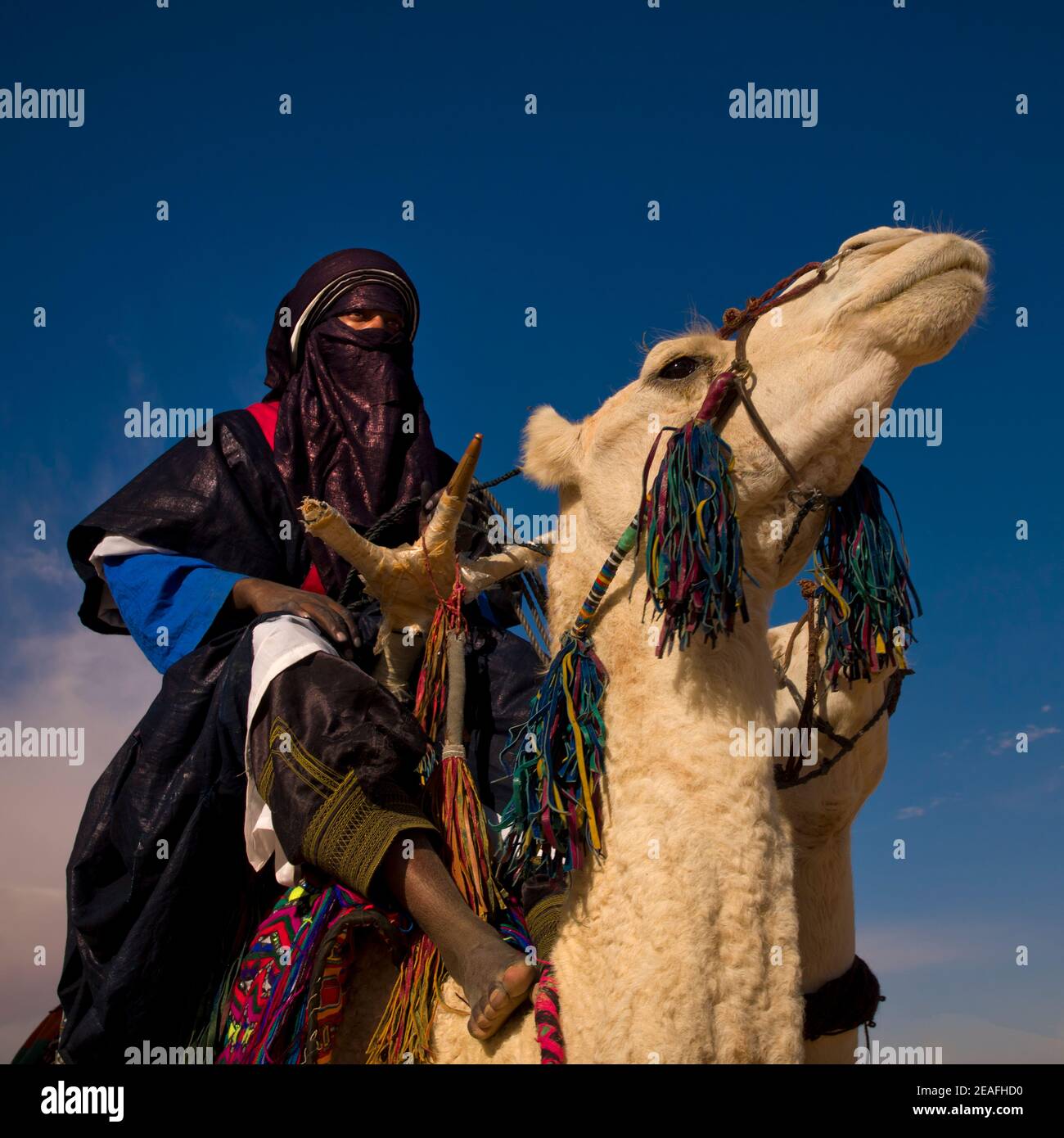 Tuareg Mann auf seinem Kamel reiten, Tripolitania, Ghadames, Libyen Stockfoto