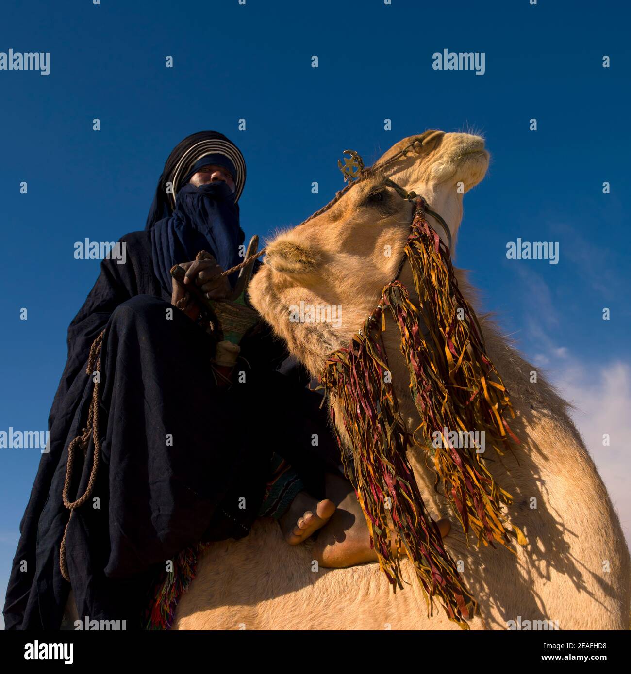 Tuareg Mann auf seinem Kamel reiten, Tripolitania, Ghadames, Libyen Stockfoto