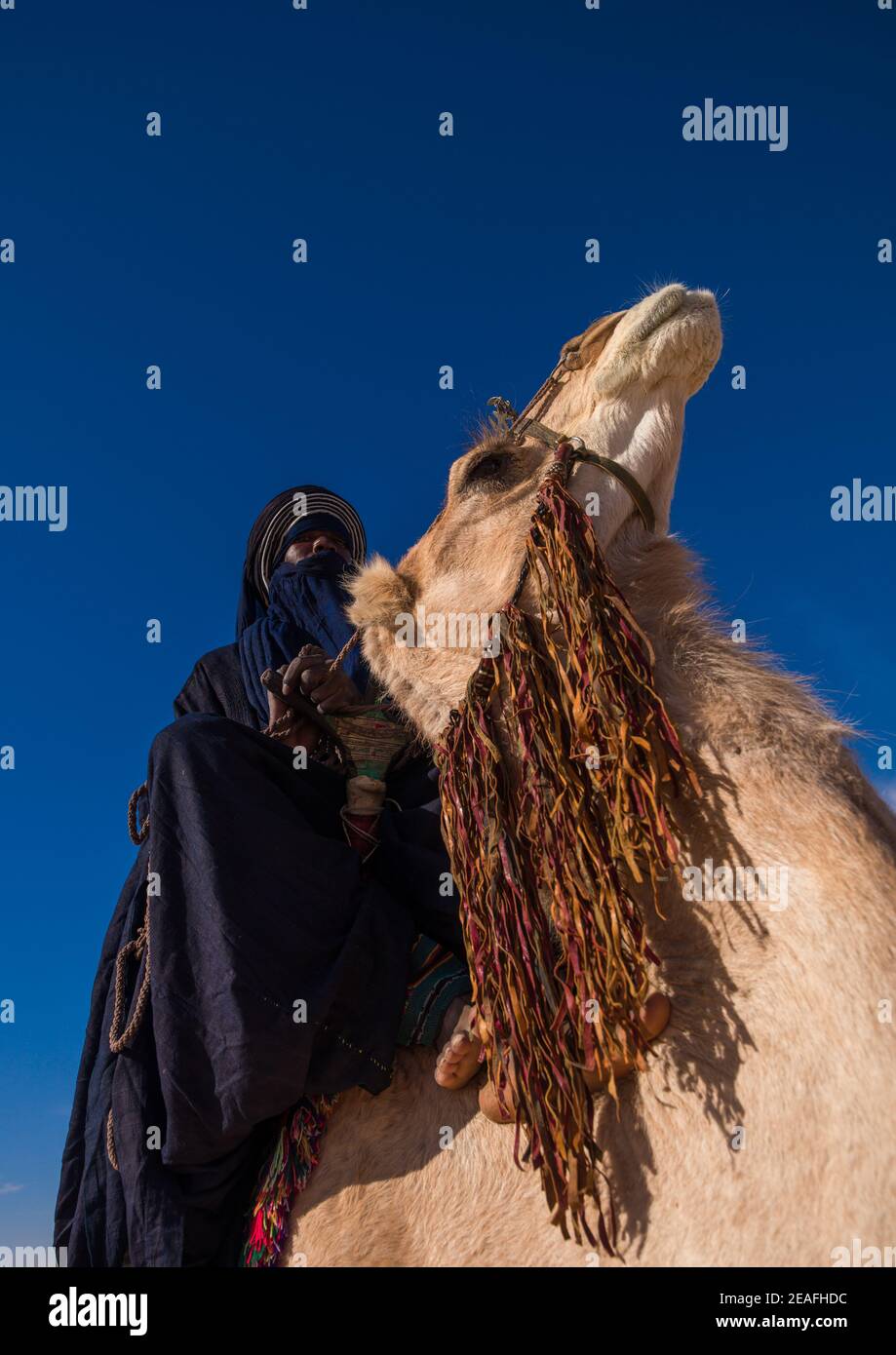 Tuareg Mann auf seinem Kamel reiten, Tripolitania, Ghadames, Libyen Stockfoto