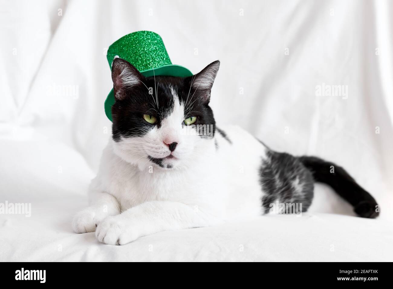 Lustige schwarz-weiße Katze trägt einen grünen Kobold Hut. St. Patricks Tag. Irischer Feiertag. Internationaler Katzentag, Stockfoto