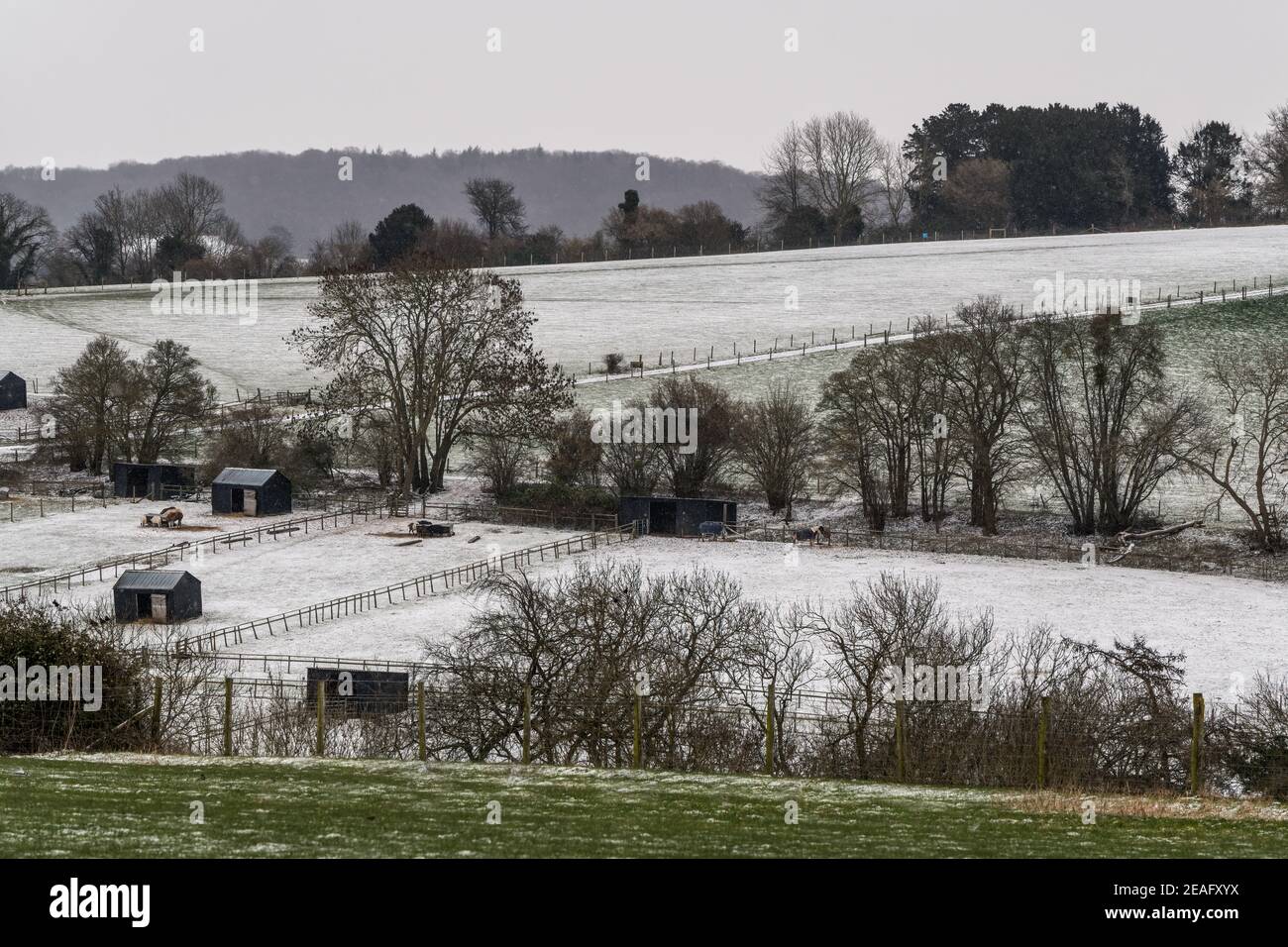 Wandern in der Nähe von Bocketts Farm in Surrey auf einem kalten Schnee Februartag Stockfoto