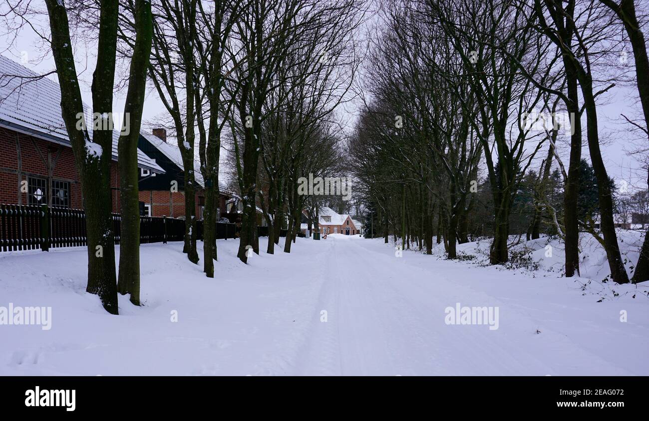 Eine Straße in einem verschneiten ländlichen Dorf in Deutschland. Laubbäume auf beiden Seiten der Straße. Stockfoto