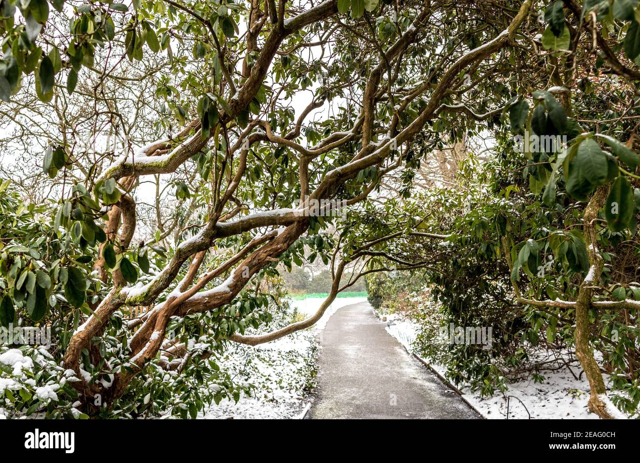 Gärten des Kenwood House London im Winter Großbritannien Stockfoto