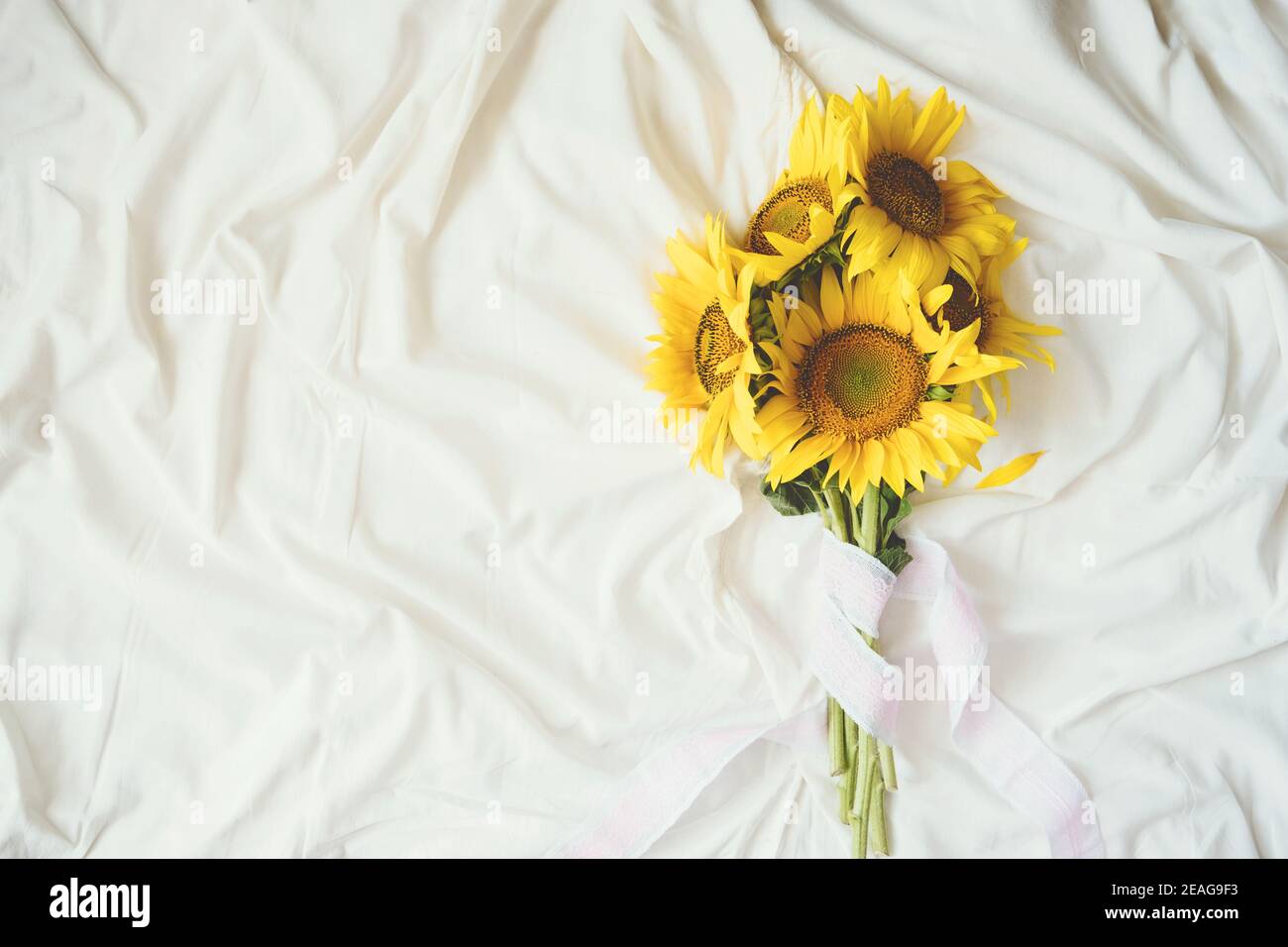 Candid authentische gelbe Sonnenblumen Bouquet auf Stoff weißen Hintergrund. Hintergrund mit Bouquet von gelben Sonnenblumen auf weißem Bettlaken. Sonnige Tage Stockfoto