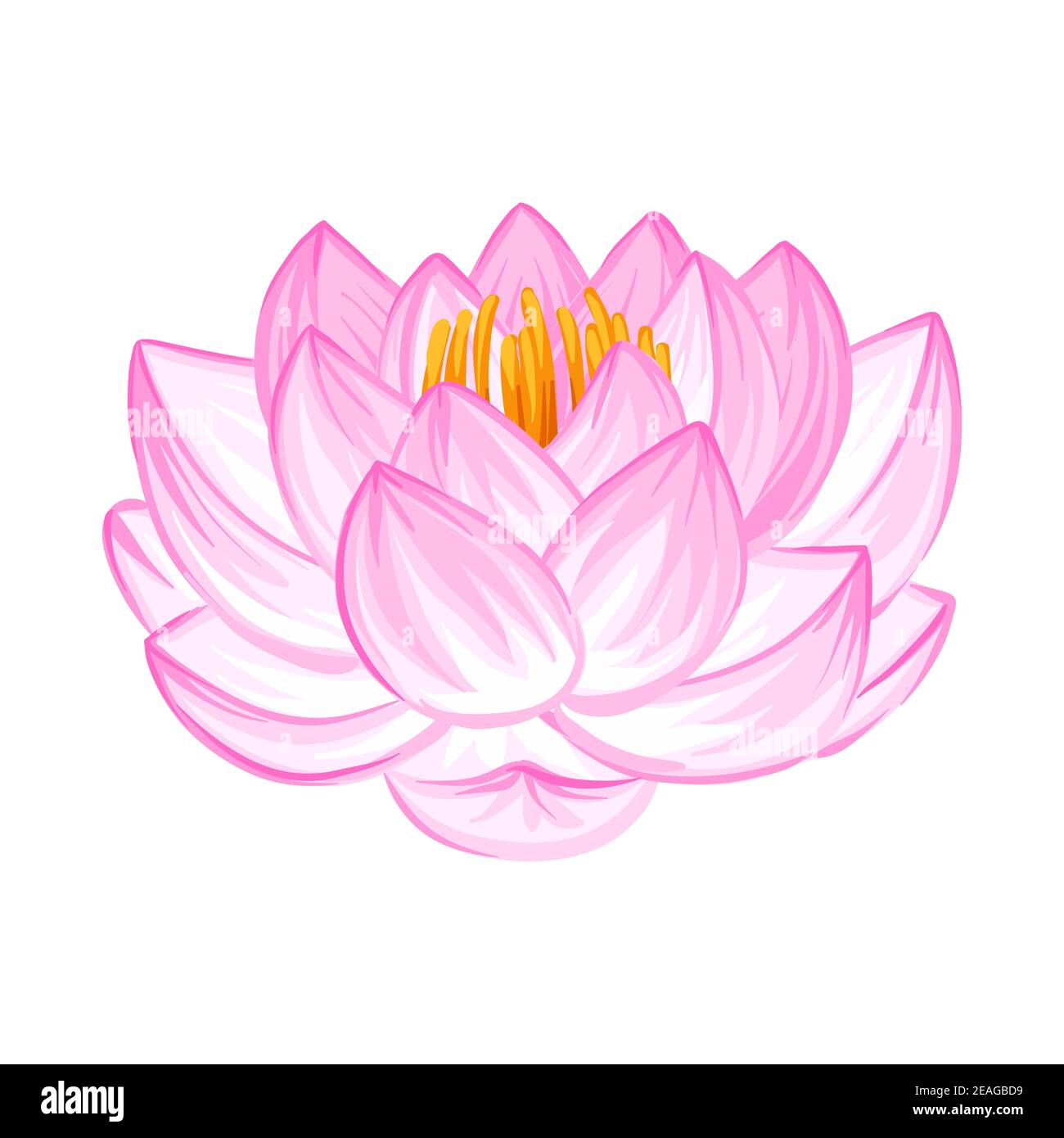 Illustration der Lotusblume. Stock Vektor