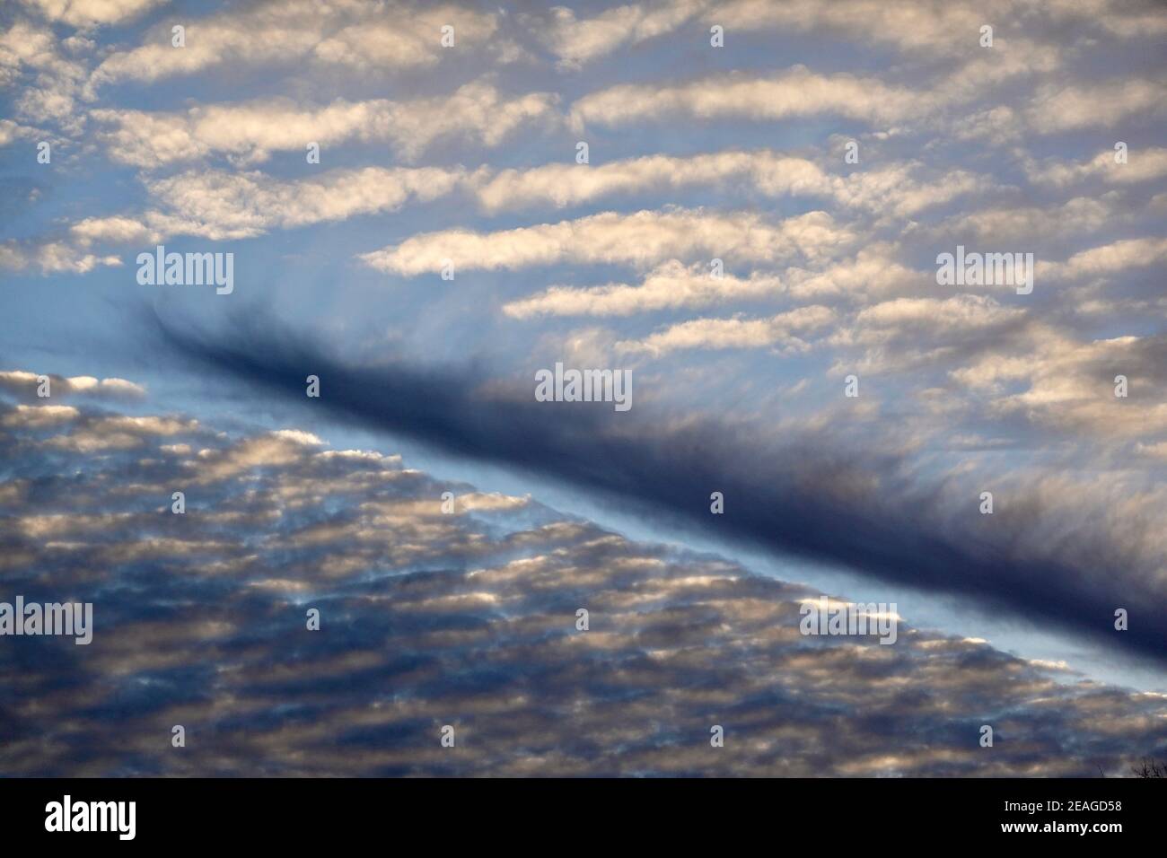 Eine Silhouette von Palmen vor einem markanten bewölkten Hintergrund. Stockfoto