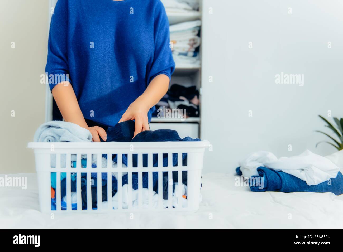 Frau, die männliche Socken in den Behälterkorb setzt. Organisation der Schubladen während der allgemeinen Reinigung durch das moderne Aufbewahrungssystem. Konzept von comfortab Stockfoto