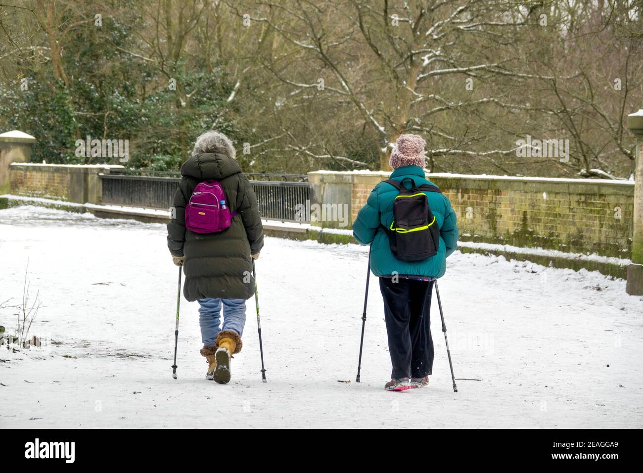 Zwei Frauen Nordic Walking im Schnee mit Trekkingstöcken. Sie genießen die tägliche Übungswanderung auf Hampstead Heath als sozial distanzierte Wanderung. VEREINIGTES KÖNIGREICH Stockfoto
