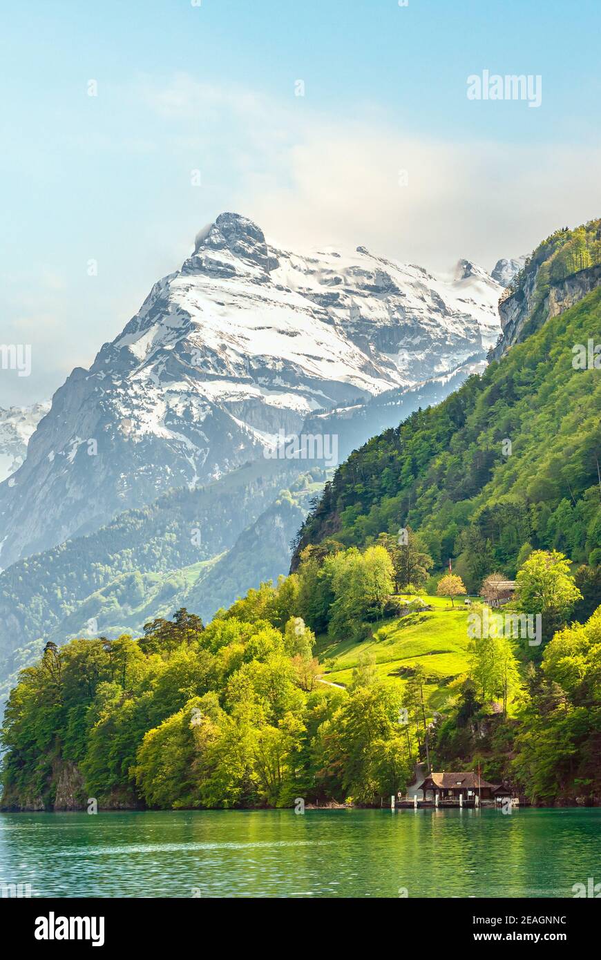 Berglandschaft am Vierwaldstättersee bei Bauen, Schweiz, mit dem Uri Rotstock im Hintergrund Stockfoto