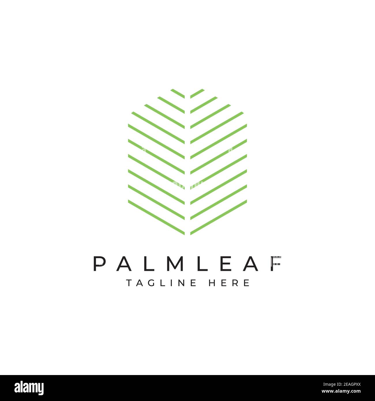Palmenblatt Logo Design-Vorlage. Luxus elegante Palme Symbol Stock Vektor