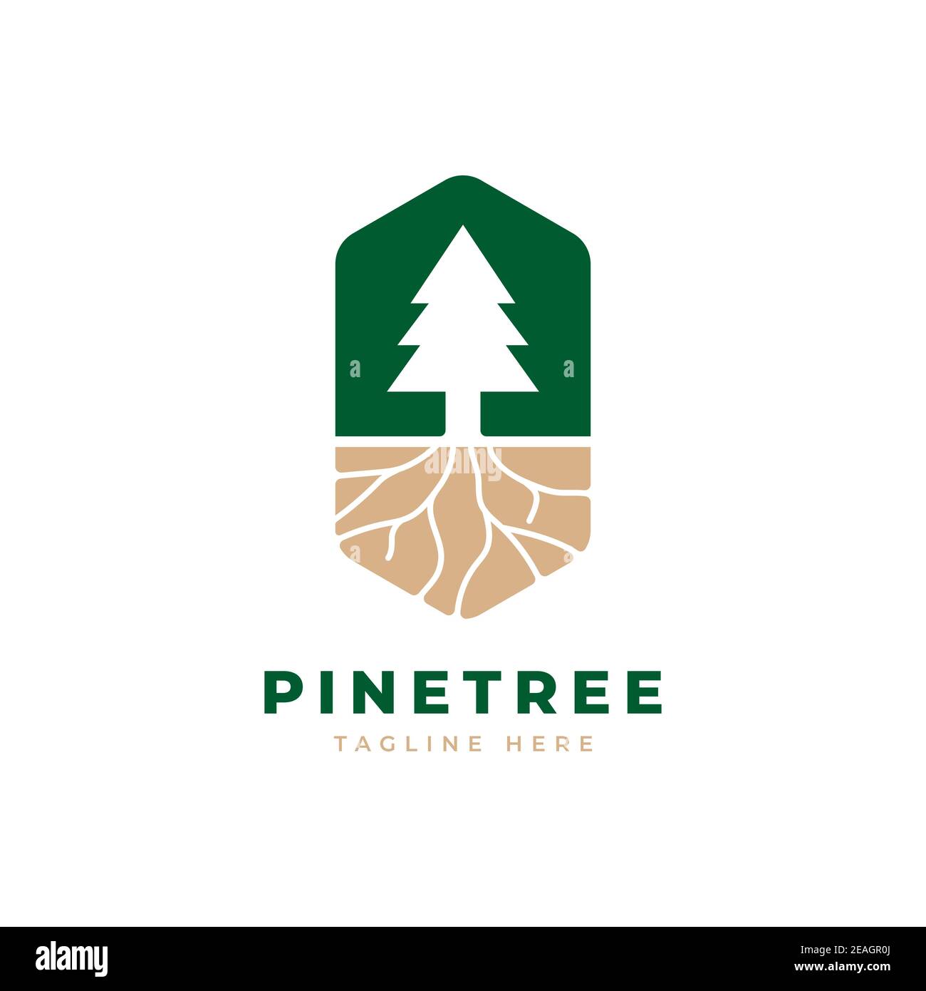 Pine Tree Logo Design Vektor Vorlage Stock Vektor