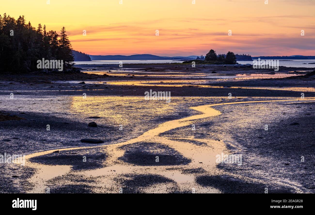 Deer Isle, Maine: Sonnenuntergangsfarben spiegeln sich bei Ebbe in Pressey Cove Stockfoto
