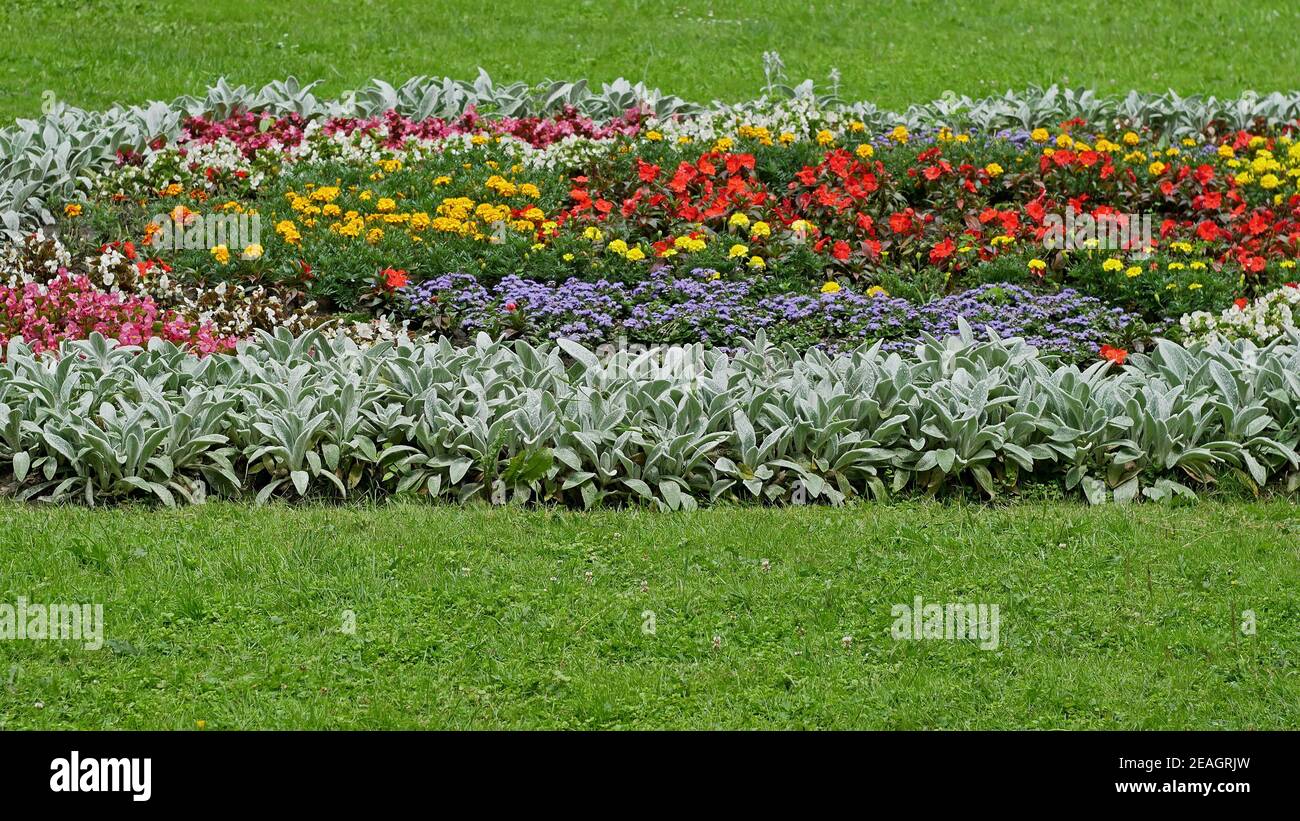 Große breite Blumenbeet mit verschiedenen Blumen und Pflanzen unter gesättigten Grünes Gras im sonnigen Sommertag Stockfoto