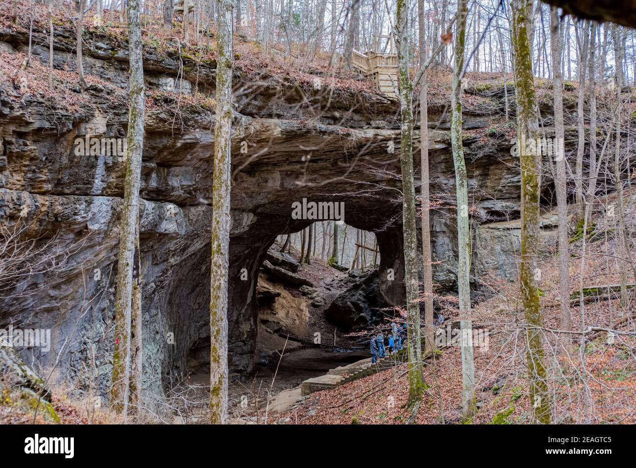 Smoky Bridge im Carter Caves State Park in Kentucky Stockfoto