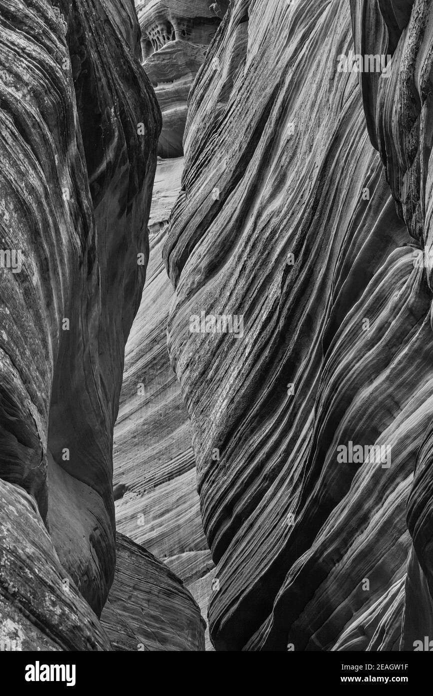 Der atemberaubend schöne schmale Slot Canyon, bekannt als Red Canyon, auch bekannt als Peek-a-Boo Canyon, in der Nähe von Kanab, Utah, USA Stockfoto