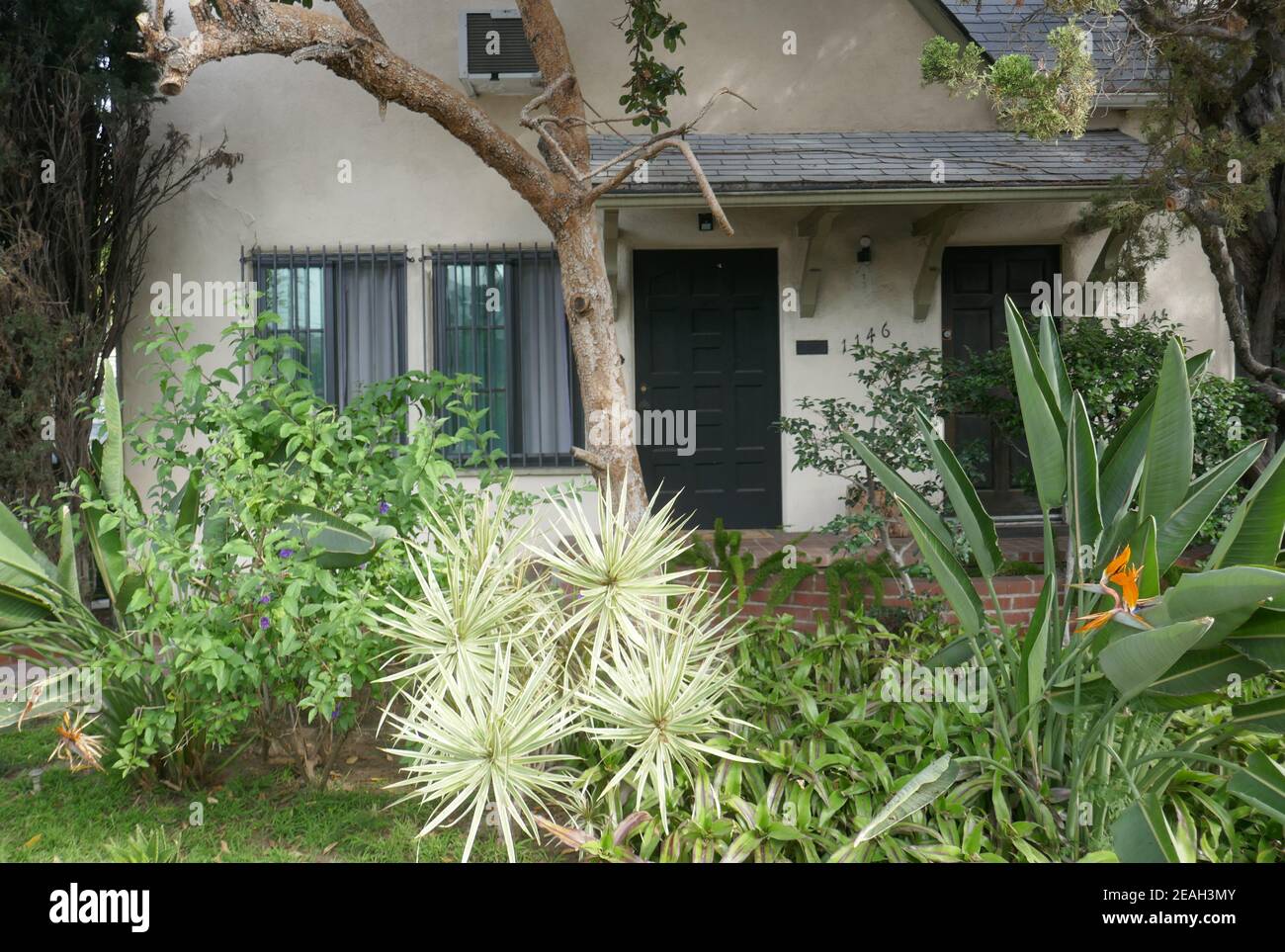 Los Angeles, California, USA 9th. Februar 2021 EINE allgemeine Sicht auf die Atmosphäre von Bela Lugosi's früherem Haus/Haus in der 1146 N. Hudson Avenue am 9. Februar 2021 in Los Angeles, Kalifornien, USA. Foto von Barry King/Alamy Stockfoto Stockfoto
