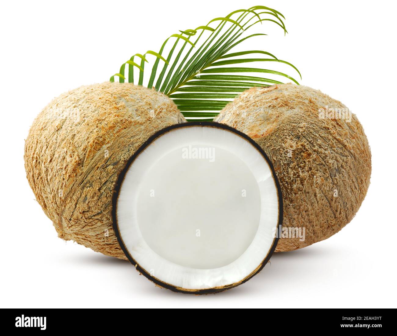 Gruppe von Kokosnussfrüchten und Blatt isoliert auf weißem Hintergrund Stockfoto