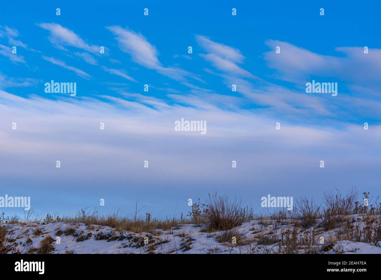 Auffällige Abendhimmel- und Wolkenformationen im Winter, die eine kleine Prärie im Schnee nahe Castle Rock Colorado USA zeigen. Foto aufgenommen im Dezember. Stockfoto