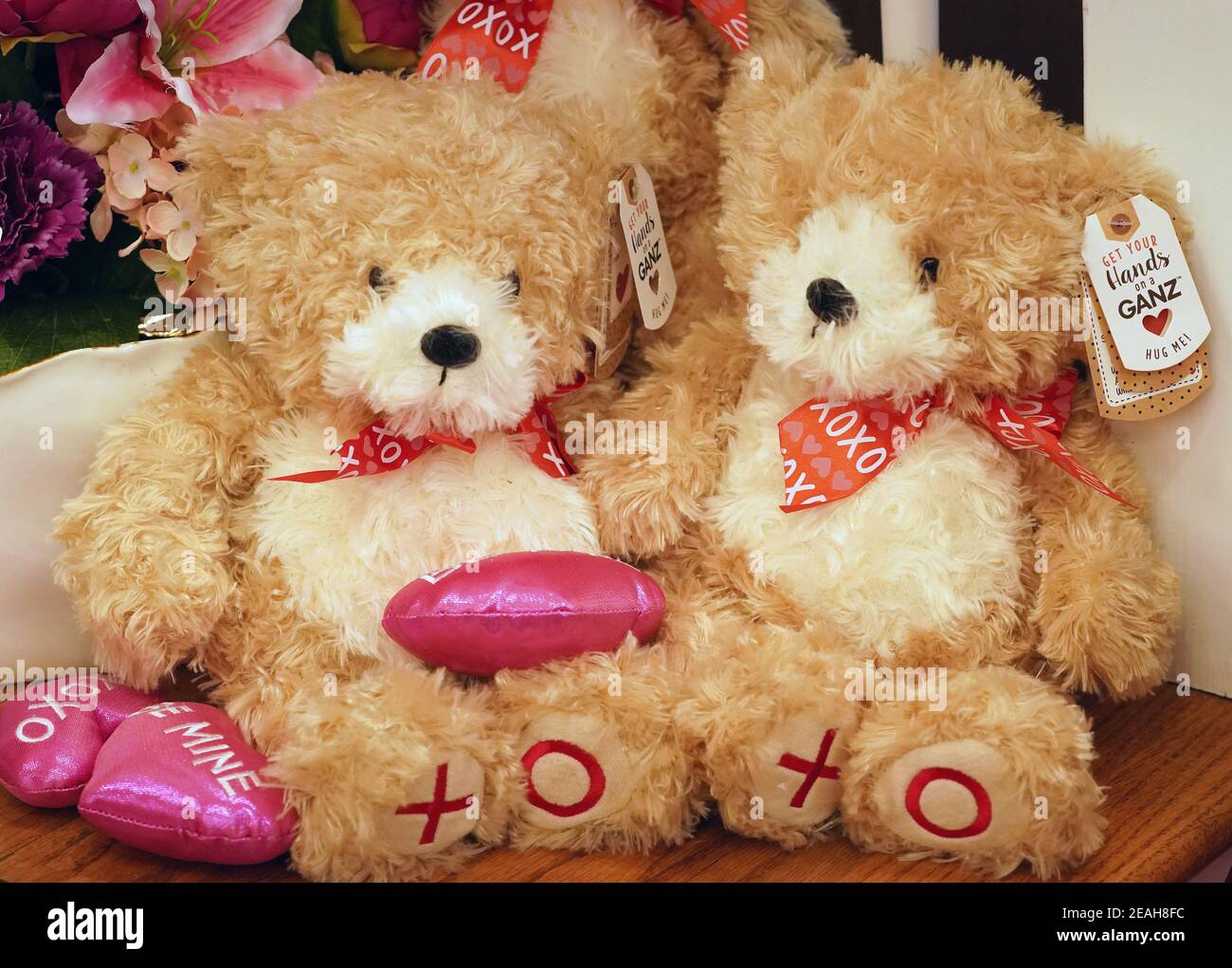 Valentines Day Bären warten auf Verkauf bei Walter Knoll Floristen in St. Louis am Dienstag, 9. Februar 2021. Valentinstag ist Sonntag 14. Februar. Foto von Bill Greenblatt/UPI Kredit: UPI/Alamy Live News Stockfoto