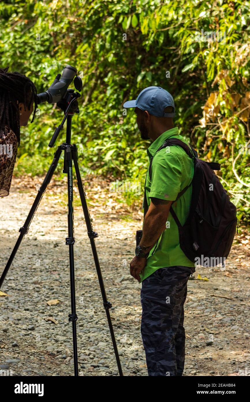 Ein Reiseleiter sieht auf, wie ein Park Gast durch eine Spotting scope auf einem Trail im Manuel Antonio Nationalpark in Costa Rica. Stockfoto
