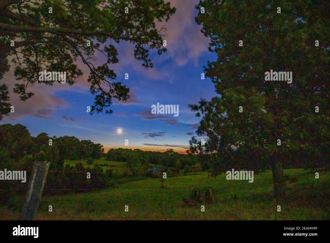 Friedliche Landschaft Hintergrund eines Mondaufstiegs über einer Sommerweide als digitale Malerei getan. Stockfoto