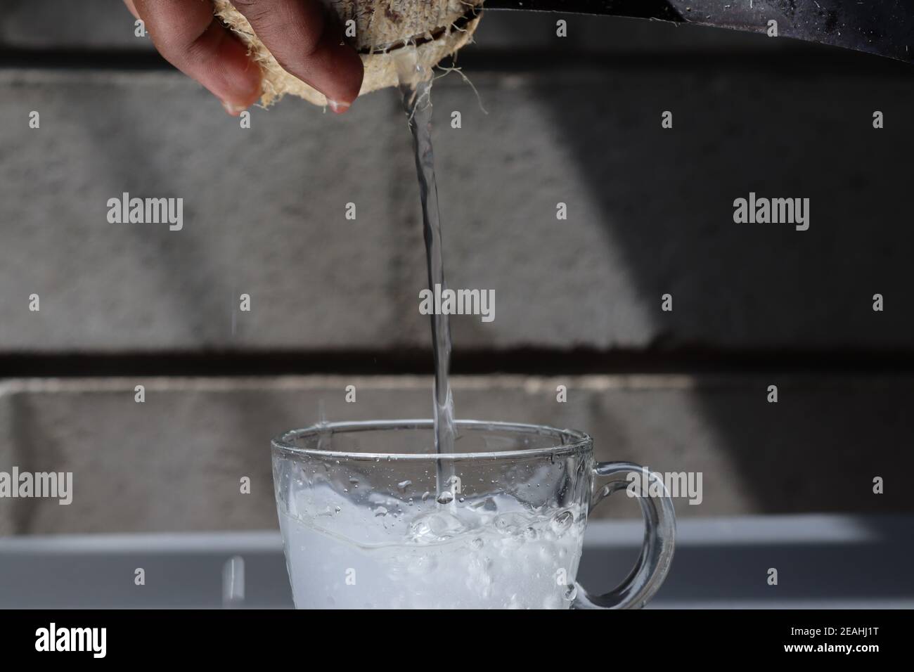 Wenn eine Kokosnuss bricht, gießt sehr leckeres Kokoswasser in eine Glasschale. Dieses Kokoswasser ist ein starkes und gesundes Getränk aus der Natur. Sehr lecker. Stockfoto