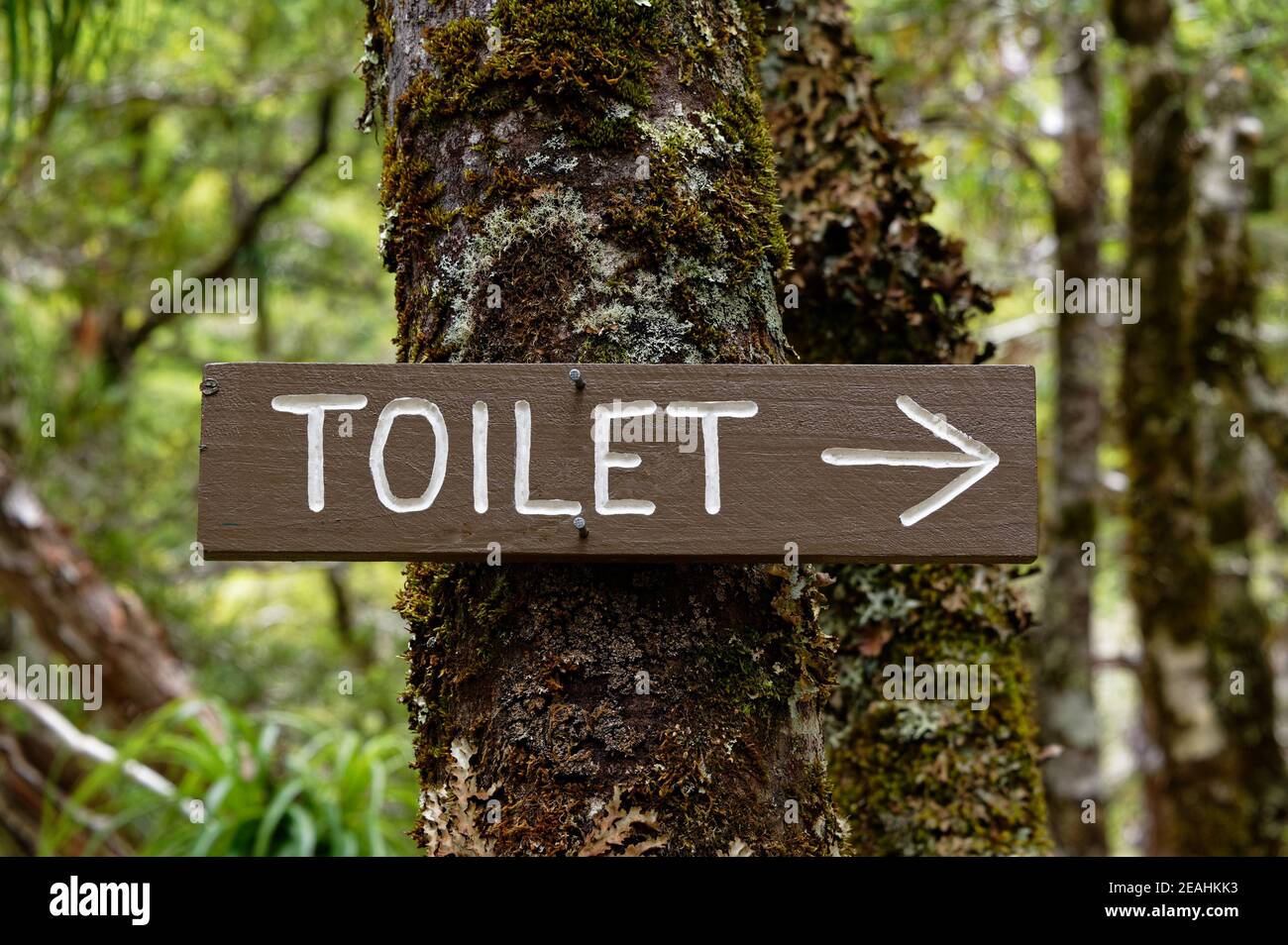 Ein rustikales Schild hat einen weißen Schriftzug, der zeigt, wo Die Außentoilette ist Stockfoto