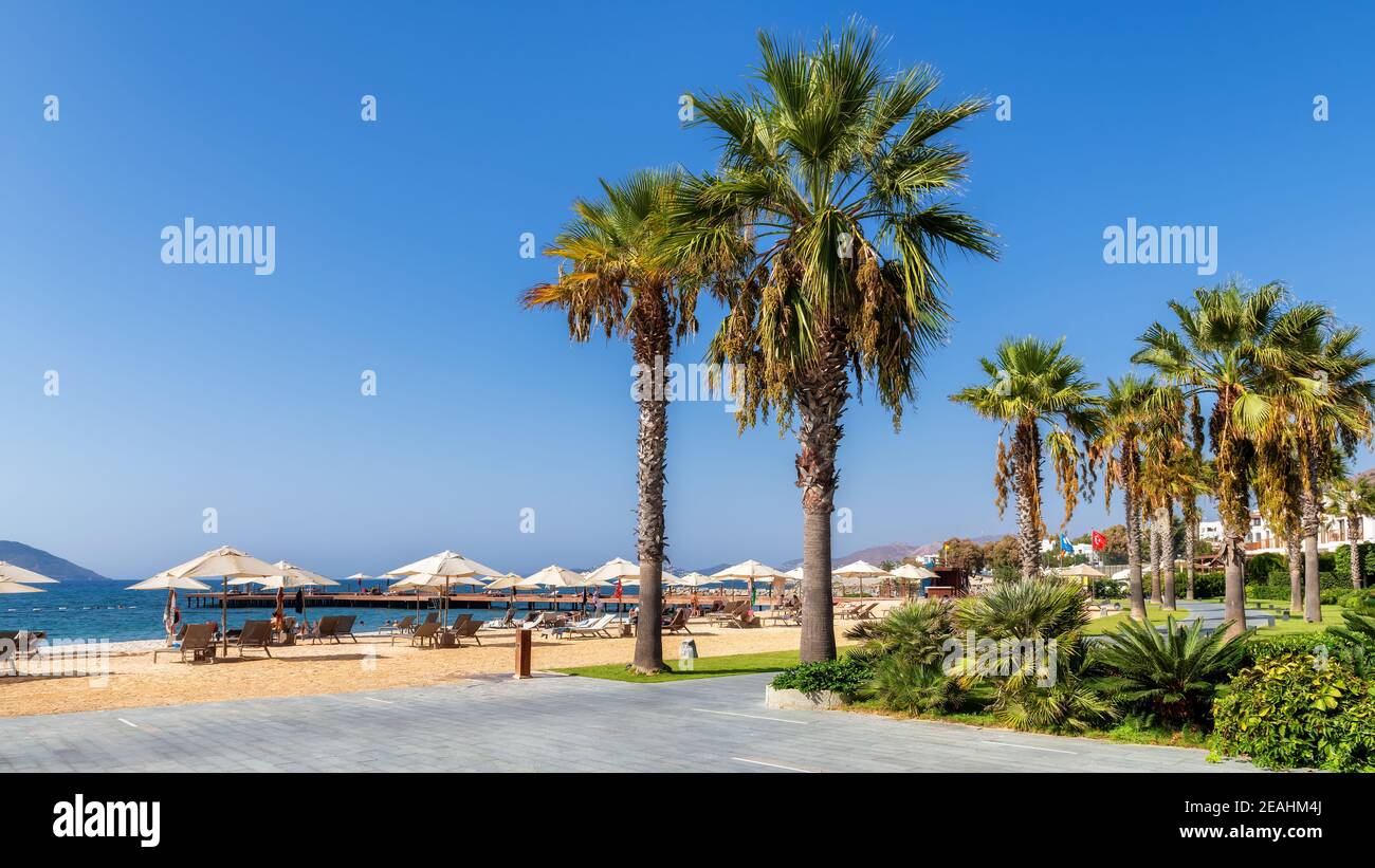 Schöner Strand mit Sonnenschirmen und Palmen in der Ägäis in Bodrum, Türkei Stockfoto