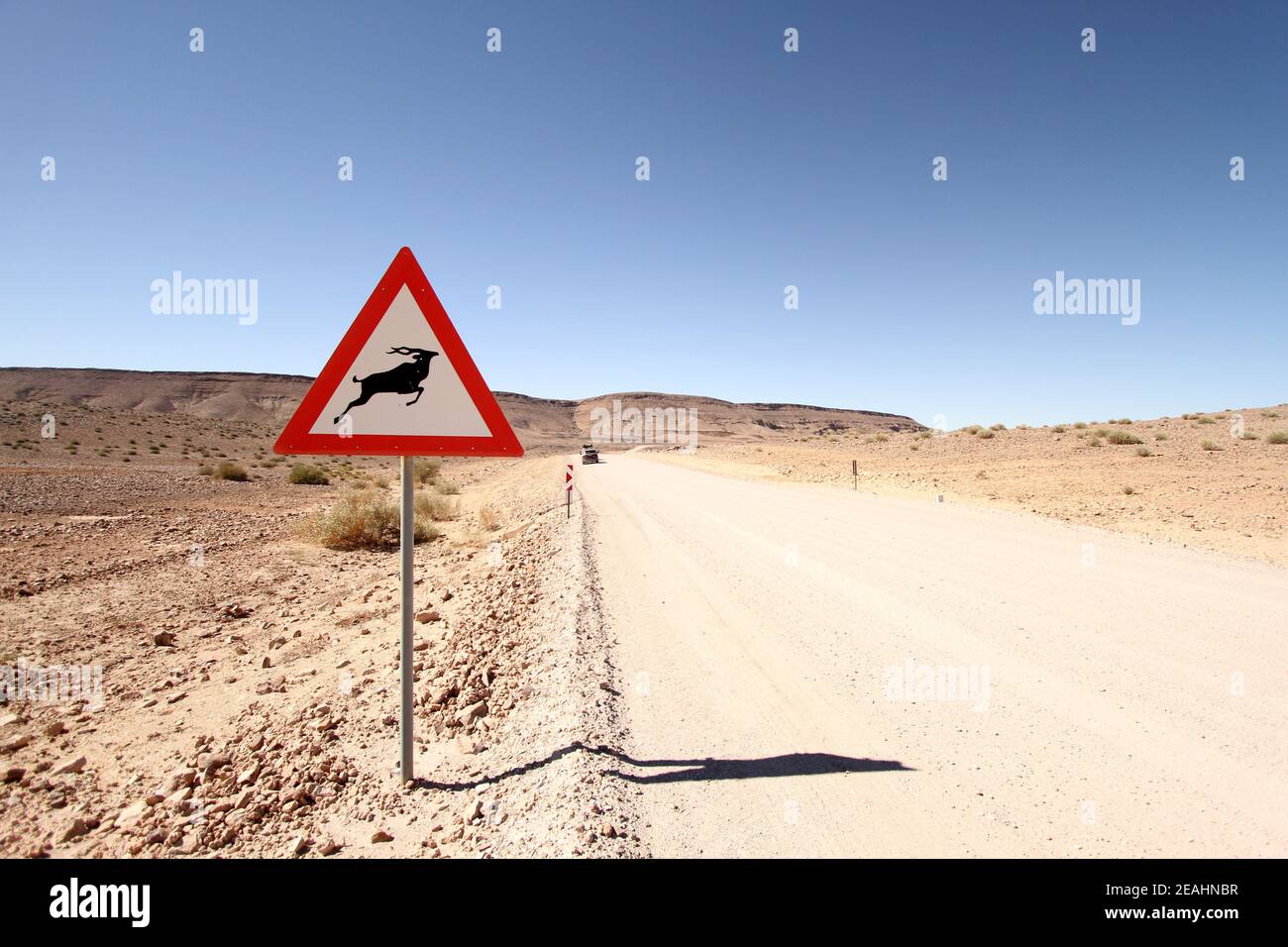 Ein Antilopenschild auf einer staubigen Wüstenstraße Stockfoto