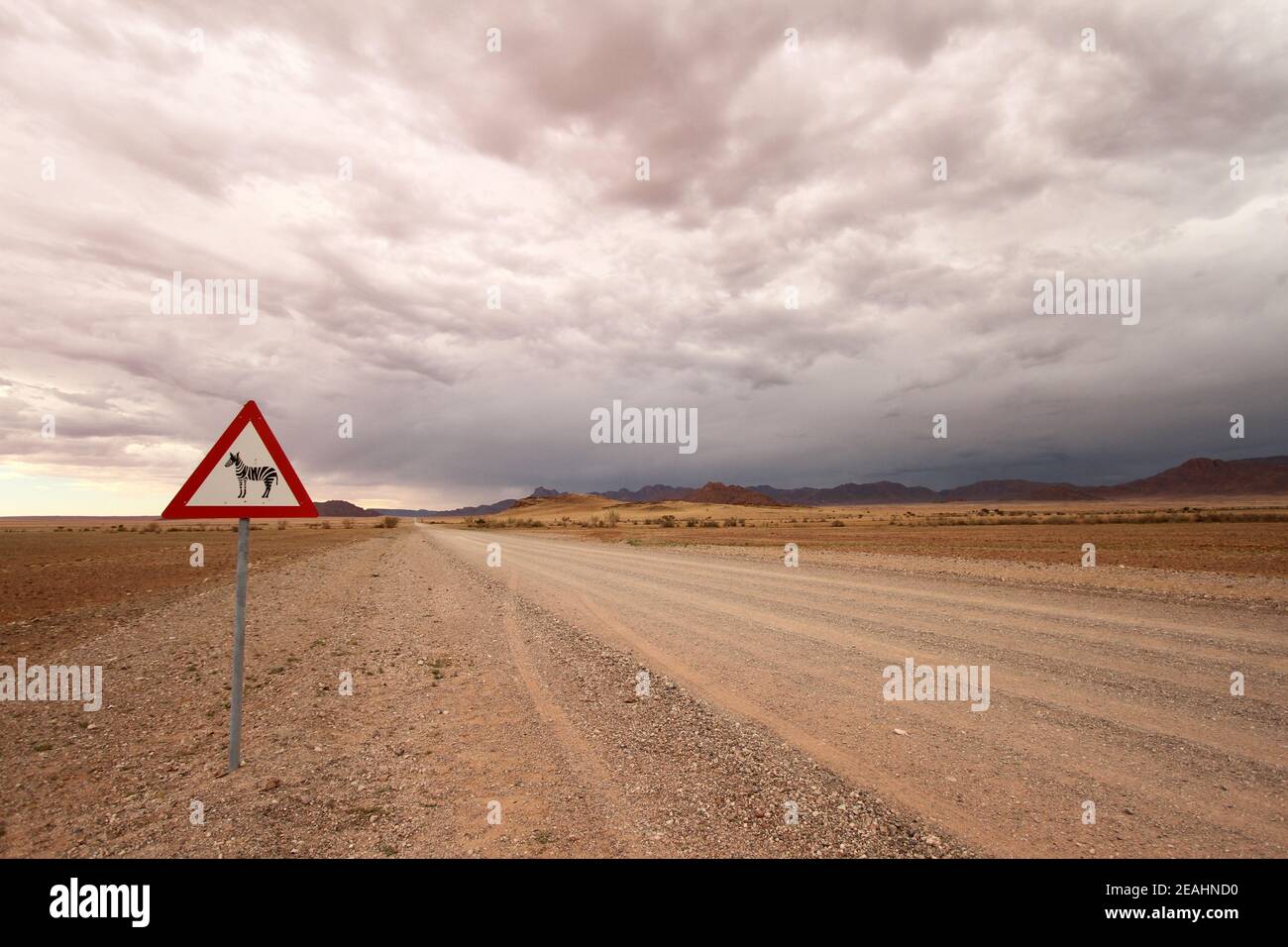 Ein Warnschild mit einem Zebra auf einem staubigen Unbefestigte Straße in Namibia Stockfoto
