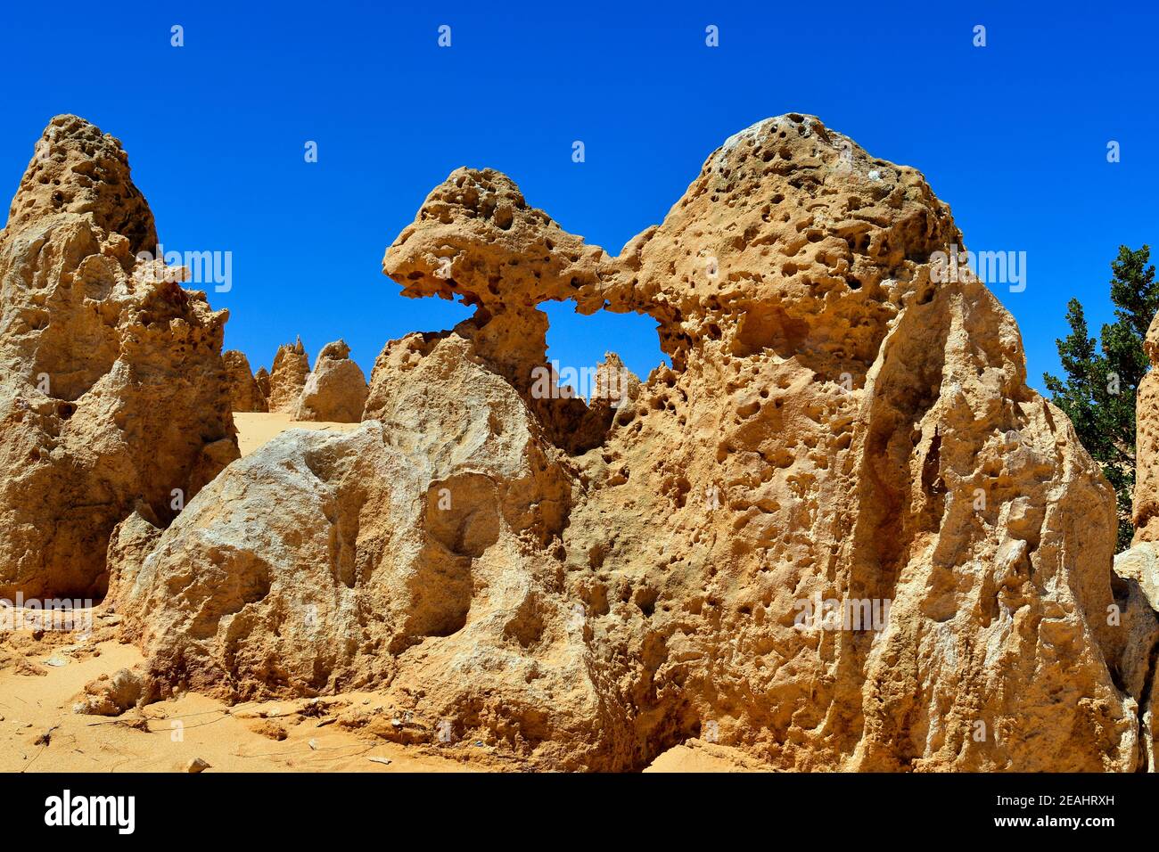 Weinanbauarbeiten, Informationen genannt die Pinnacles im Nambung Nationalpark bei Cervantes, Sehenswuerdigkeit und Touristenziel, Australia, WA, The Stockfoto