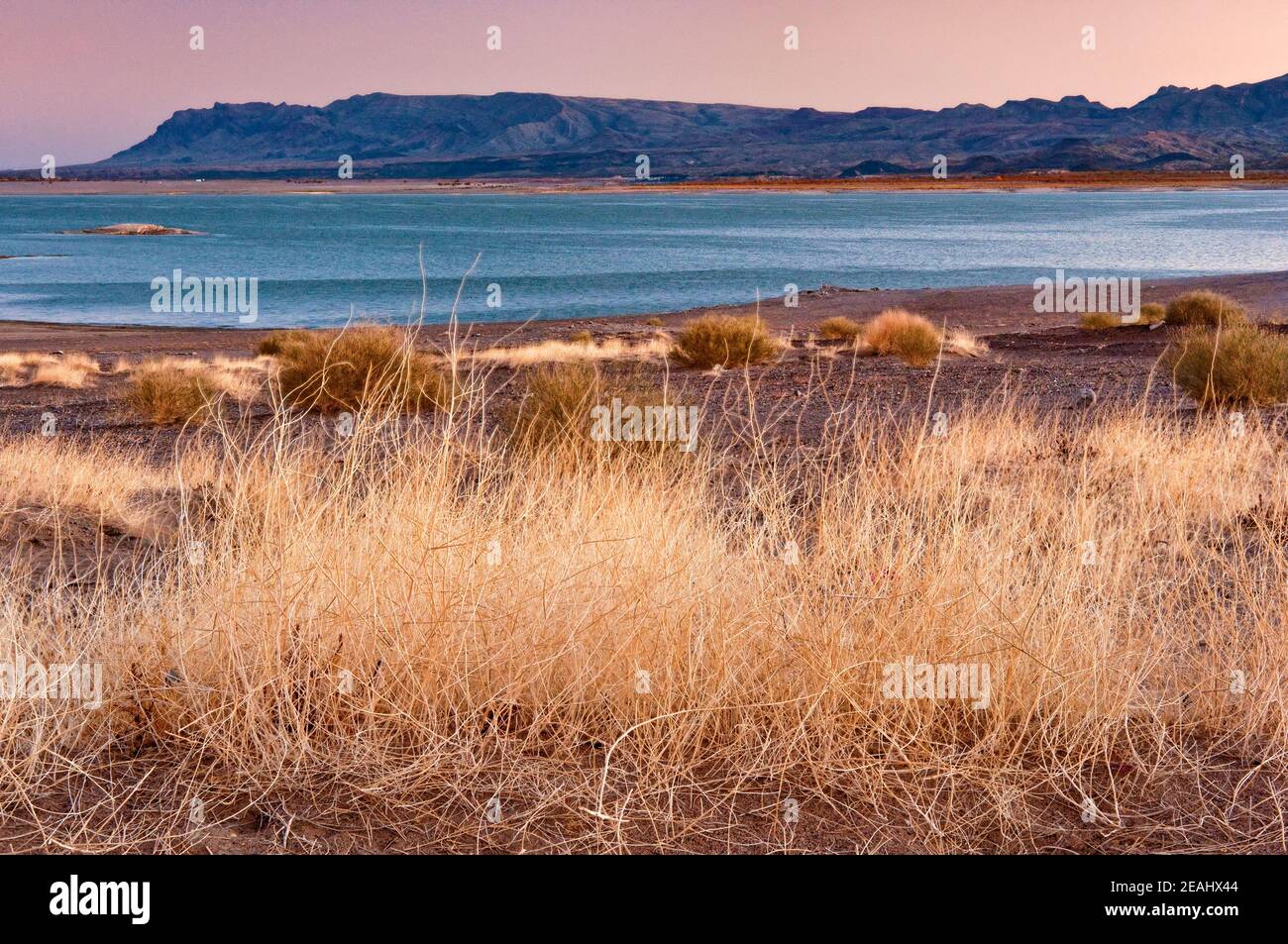 Elephant Butte Reservoir am Rio Grande, Fra Christobal Palette in Ferne, Sonnenaufgang, Elephant Butte, New Mexico, USA Stockfoto