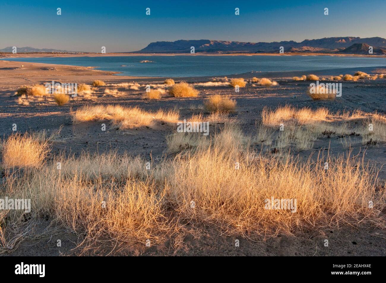 Elephant Butte Reservoir am Rio Grande, Fra Christobal Palette in Ferne, Sonnenaufgang, Elephant Butte, New Mexico, USA Stockfoto