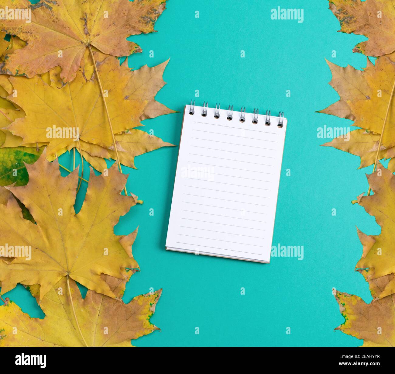 Öffnen Sie das Notizbuch in Übereinstimmung mit weißen leeren Seiten auf einem Grüner Hintergrund Stockfoto