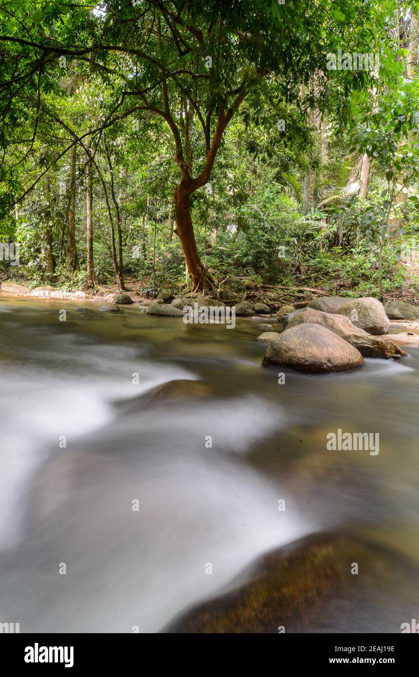 Slow Motion Wasserfluss bei Sungai Sedim Stockfoto