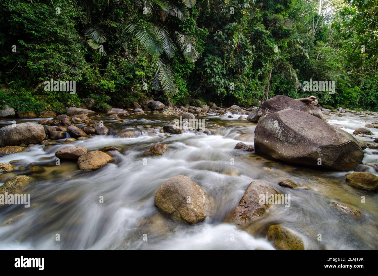 Zeitlupe Wasserfluss im Fluss bei Sungai Sedim Stockfoto