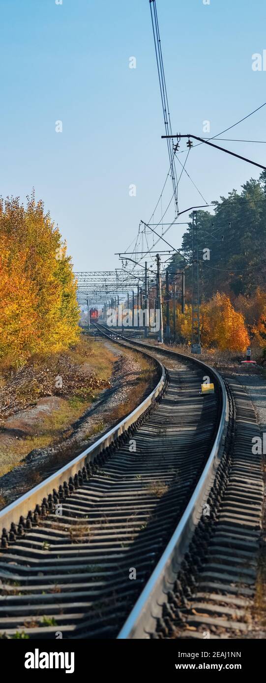 Die Bahn führt durch einen schönen Herbstwald mit bunten Bäumen. Stockfoto