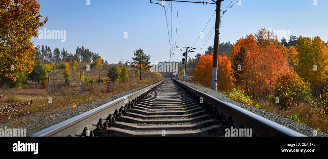 Die Bahn führt durch einen schönen Herbstwald mit bunten Bäumen. Stockfoto