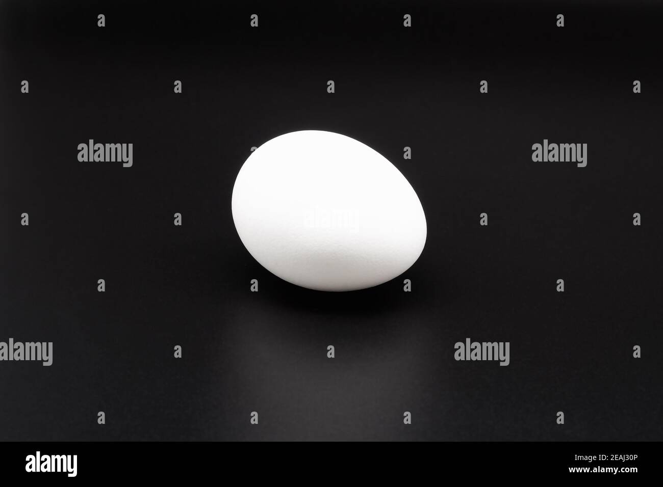 Weißes Ei auf Schwarz. Stockfoto