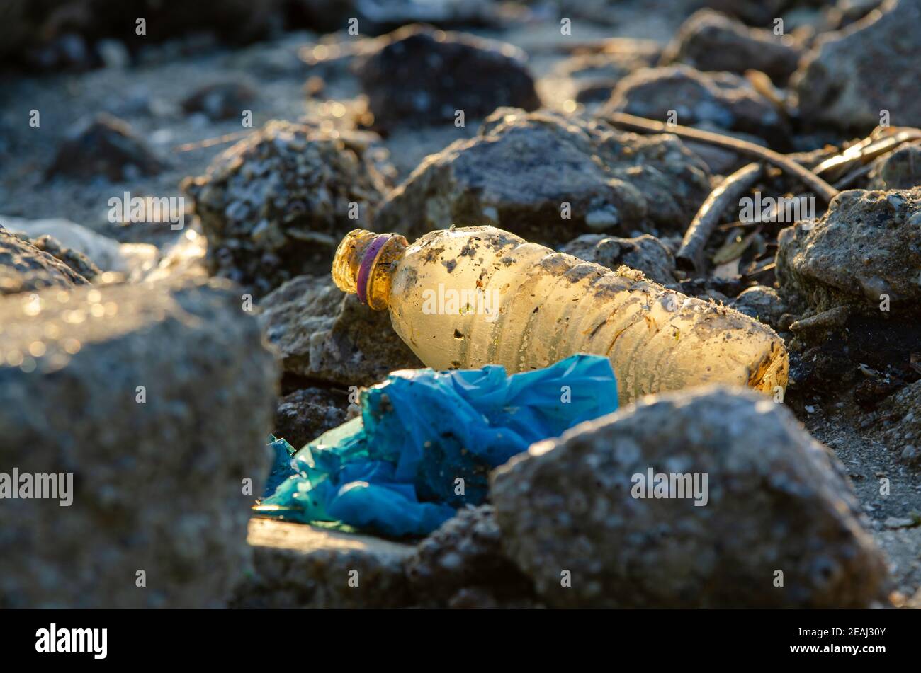 Plastikflasche am Fels. Kunststoffverunreinigung Stockfoto
