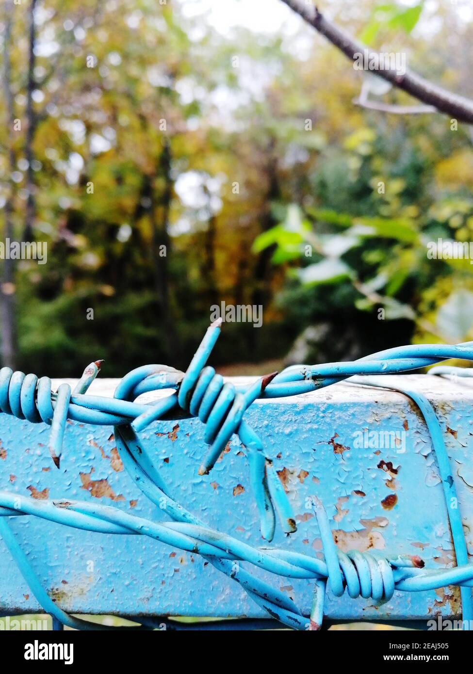 Blau rostiger Stacheldraht niemand Stockfoto