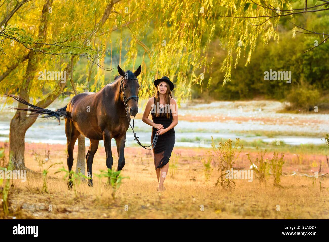 Ein Mädchen in einem schönen schwarzen Kleid und einem schwarzen hut läuft mit einem Pferd über das Feld Stockfoto