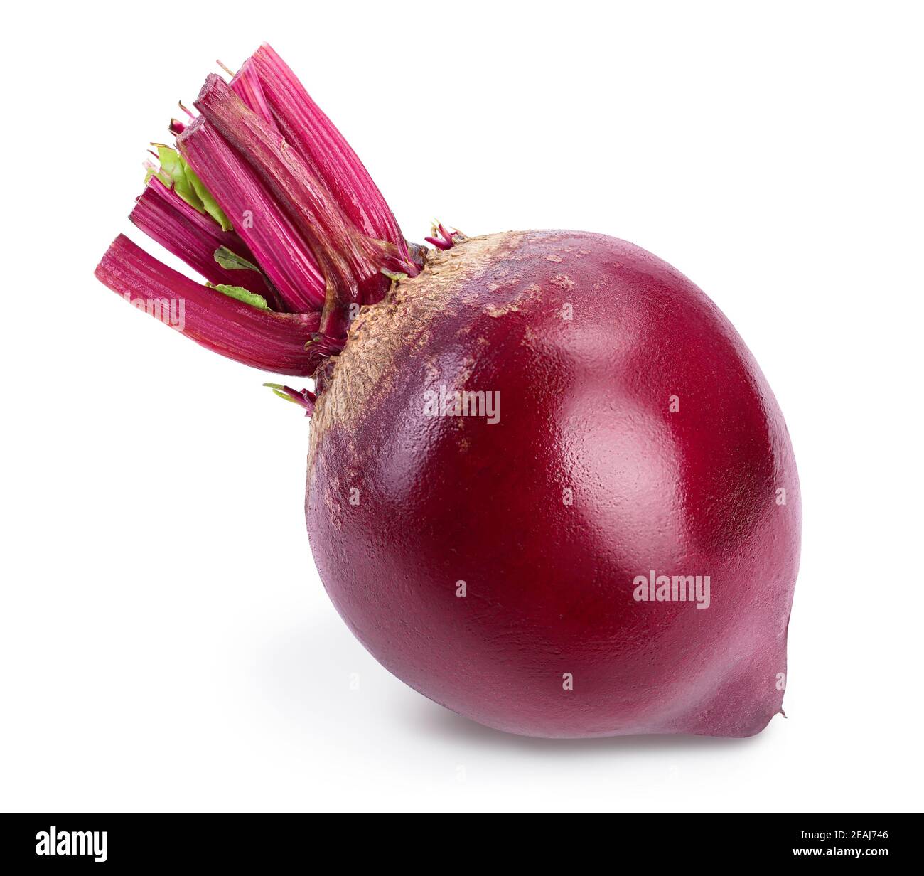 Rote Bete isoliert auf weißem Hintergrund mit Beschneidungspfad und voller Schärfentiefe. Stockfoto