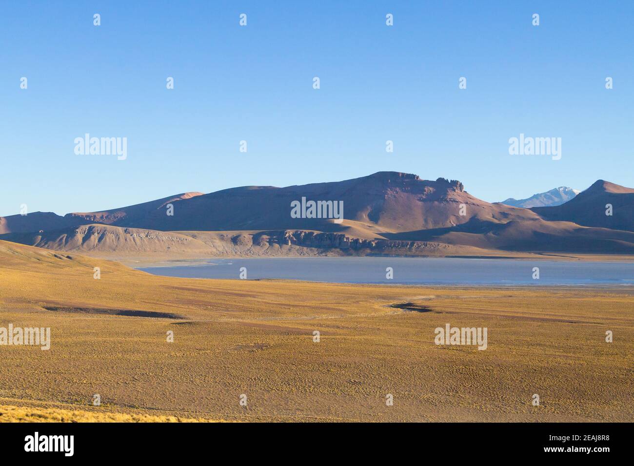 Blick auf die Lagune von Morejon, Bolivien Stockfoto