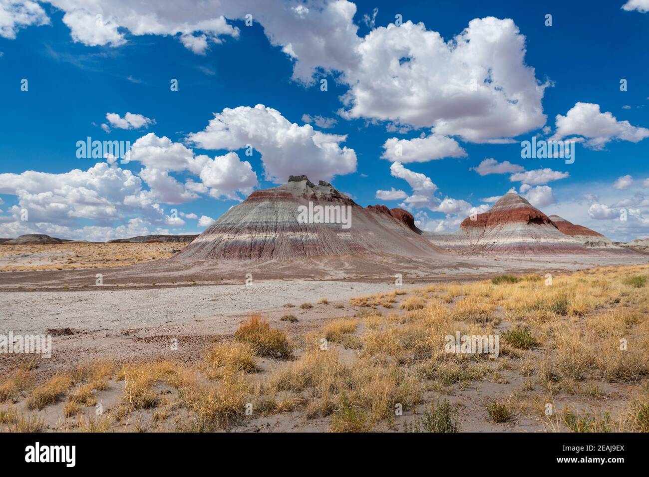 Szenische Ansicht der Formation bekannt als die Teepes, im Petrified Desert National Park, im Bundesstaat Arizona, USA; Konzept für Reisen in Amerika A Stockfoto