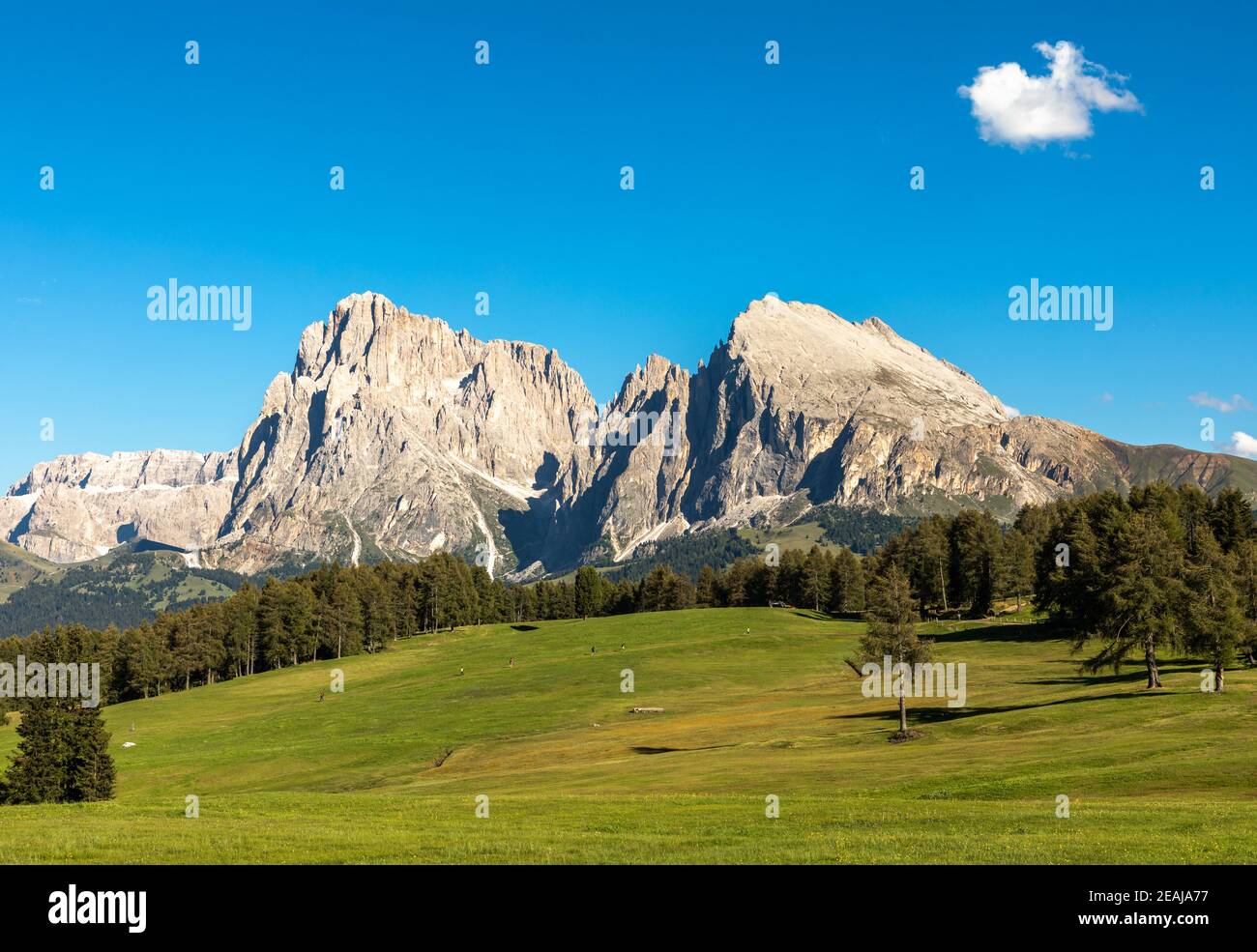 Seiser Alm, Seiser Alm, mit Blick auf Langkofel und Plattkofel, Südtirol Stockfoto