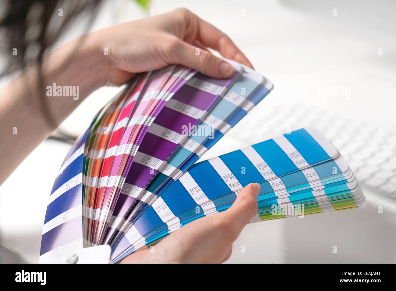 Grafikdesigner wählt Farben aus Palette Führer für Malerei und Drucken einer neuen kreativen Business-Arbeit Stockfoto